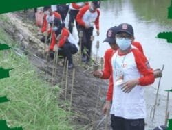Tagana Tanam 20 ribu Bibit Mangrove di Pesisir Pangandaran
