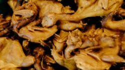 IMG-20250925-WA0040 IMG-20250925-WA0040