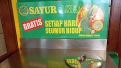 IMG_20251002_114846 IMG_20251002_114846