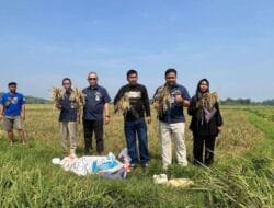 Perum Bulog Kanwil Jawa Barat Siap Beli Gabah Kering Panen dari Petani