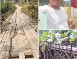 Kondisi Jembatan Penghubung Desa di Kampar, Riau : Antara Harapan dan Kenyataan