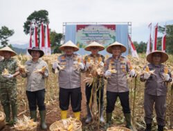 Panen Jagung Serentak Kwartal 1 Tahun 2026 Polda Jabar