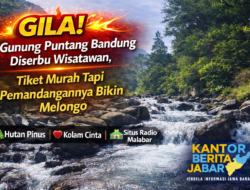 GILA! Gunung Puntang Bandung Diserbu Wisatawan, Tiket Murah Tapi Pemandangannya Bikin Melongo