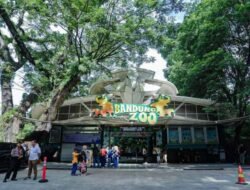 Dedi Mulyadi Ungkap Nasib Bandung Zoo Masih Digodok, Pemkot Bandung Minta Waktu ke Kementerian