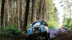 Alarm Kerusakan Hutan Berbunyi di Jawa Barat