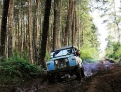 Alarm Kerusakan Hutan Berbunyi di Jawa Barat