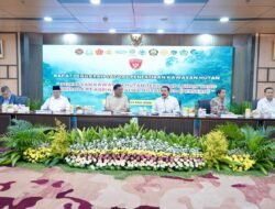 Rp11 Triliun Terselamatkan, Pemerintah Mulai Rapikan Kawasan Hutan Bermasalah