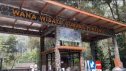 Gunung Puntang Bandung Selatan Tawarkan Wisata Alam dan Jejak Sejarah Radio Malabar