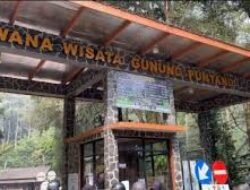 Gunung Puntang Bandung Selatan Tawarkan Wisata Alam dan Jejak Sejarah Radio Malabar