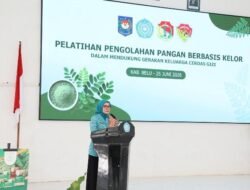 TP PKK Dorong Kelor NTT Jadi Komoditas Unggulan, Yane Ardian Sebut Potensinya Salah Satu Terbaik di Dunia