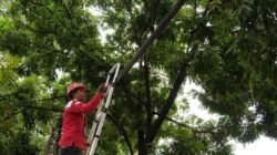 Layanan Dukcapil hingga Perbankan Dipantau, Bandung Siagakan Tim 24 Jam Saat Migrasi Jaringan