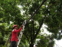 Layanan Dukcapil hingga Perbankan Dipantau, Bandung Siagakan Tim 24 Jam Saat Migrasi Jaringan