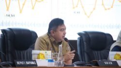 80 Persen Panen Cabai Masuk Industri Sambal, Kemendagri Ungkap Penyebab Pasokan Menyusut