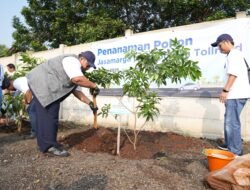 Jasa Marga Tanam 1.208 Pohon di Koridor Tol, Perkuat Komitmen Green Toll Road