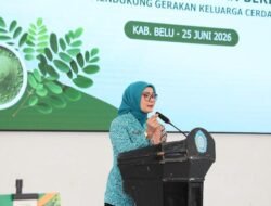 Dari Ketahanan Pangan hingga Ekonomi Keluarga, Kelor NTT Dinilai Miliki Prospek Besar