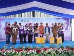 Perkuat Peran Posyandu pada Enam Bidang SPM, TP Posyandu Pusat Beri Asistensi di Sorong